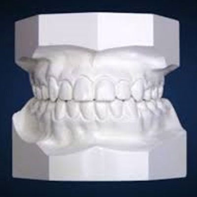 Articulated Study Models